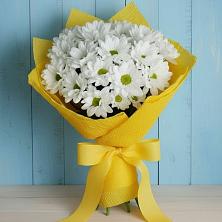 Букет цветов из:  Хризантемы в Скобелевской Краснодарский край