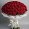 Букет 101 Красная роза Блэк Мэджик в Скобелевской Краснодарский край