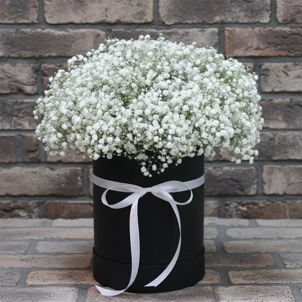 Цветочная композиция из Гипсофила в шляпной коробке в Скобелевской Краснодарский край