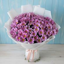 Букет цветов из:  Хризантемы в Скобелевской Краснодарский край
