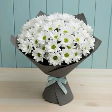 Букет цветов из:  Хризантемы в Скобелевской Краснодарский край