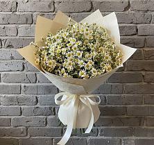 Букет цветов из:  Ромашки в Скобелевской Краснодарский край