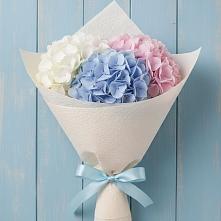 Букет цветов из:  Гортензия в Скобелевской Краснодарский край