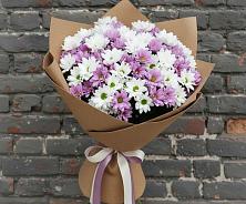 Букет цветов из:  Хризантемы #REPLACE_PRED# Скобелевской Краснодарский край