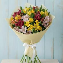 Букет цветов из:  Альстромерии в Скобелевской Краснодарский край