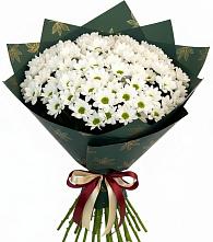 Букет цветов из:  Хризантемы в Скобелевской Краснодарский край