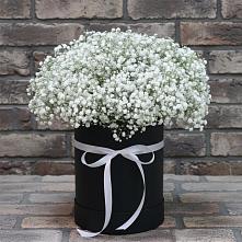 Цветочная композиция из Гипсофила в шляпной коробке в Скобелевской Краснодарский край