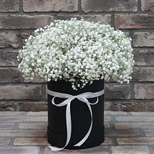 Цветочная композиция из Гипсофила в шляпной коробке в Скобелевской Краснодарский край
