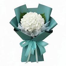 Букет цветов из:  Гортензия в Скобелевской Краснодарский край